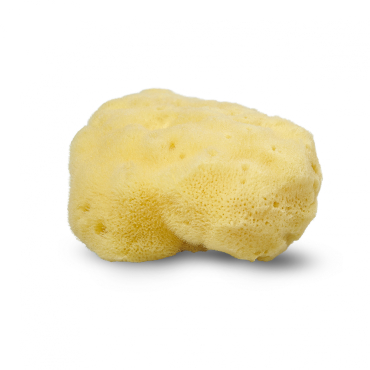 Cocoon Eco Living - silke svamp - lille - 4-5 cm