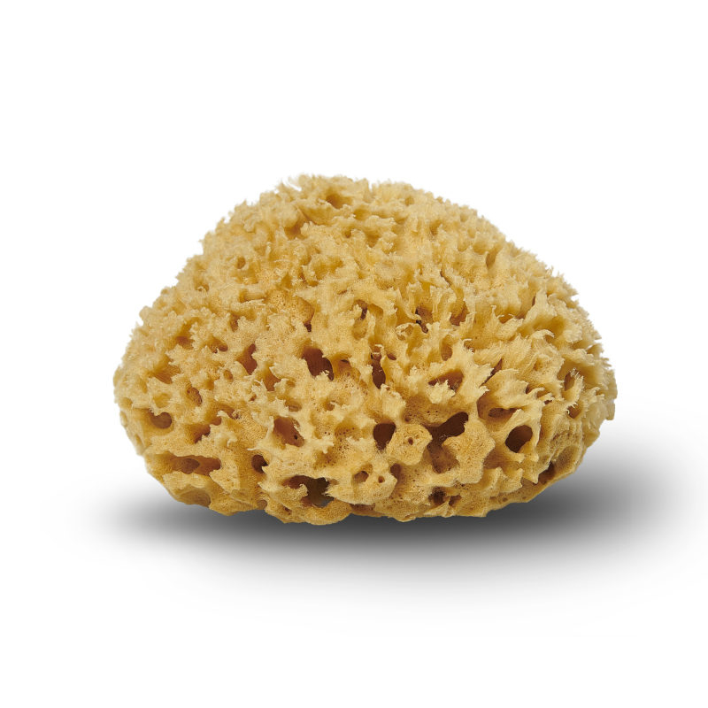 Se Cocoon Natursvamp Honeycomb 12 cm, 1 stk. hos Ko og Ko
