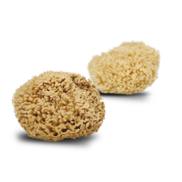 Cocoon Eco Living - honeycomb wool svamp - 13-14 cm