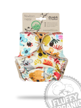 Petit Lulu - fluffy - newborn - frisky koalas