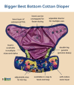 BIGGER Best Bottom AI2 + 3 indlæg - fancy pants cotton