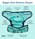 BIGGER Best Bottom AI2 - cover - all ruba