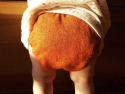 Puppi merino uld cover - onesize SIO PLUS - trykknapper - rusty fox