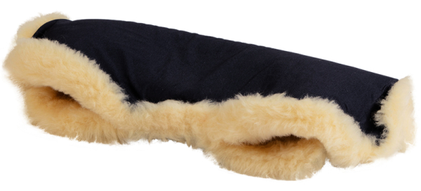 Panther (sort)