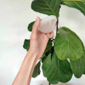 Womens Place menstruationsdisk