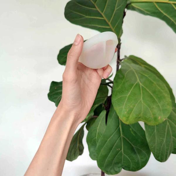 Womens Place menstruationsdisk