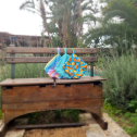 Little Lovebum wetbag small - into the wild